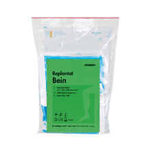 Replantat Bein