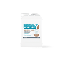 BAYROL Protect & Shine 2 L Protege a linha de água contra depósitos de sujeira