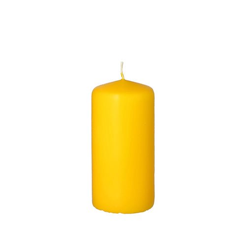 A vela de pilar PAPSTAR Ø 50 mm, 100 mm da PAPSTAR GmbH, feita de cera de alta qualidade com pavio centralizado, é apresentada não acesa em fundo branco – perfeita como decoração.