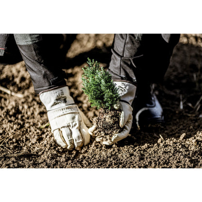 Luvas de couro bovino de flor integral NITRAS, cor natural / marrom, algodão EN 388 | Pacote (12 pares)