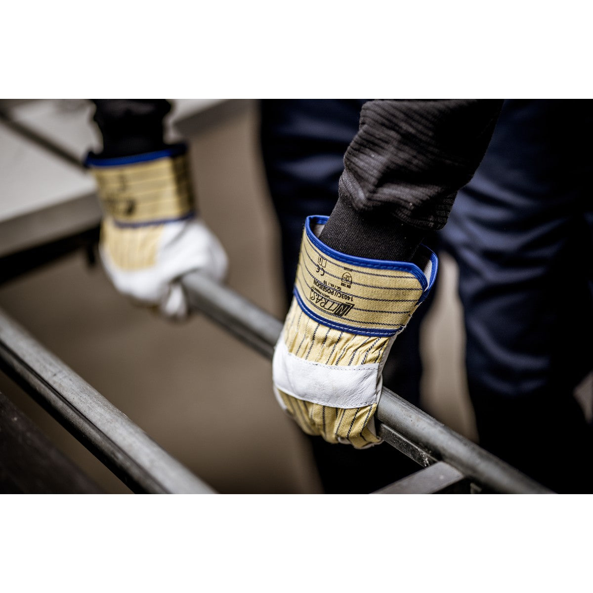 NITRAS POSEIDON, luvas de couro bovino de flor integral, listras amarelas / azuis / cinza, algodão EN 388 | Pacote (12 pares)