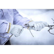 NITRAS DRIVER WINTER, luvas de couro de flor integral, cinza