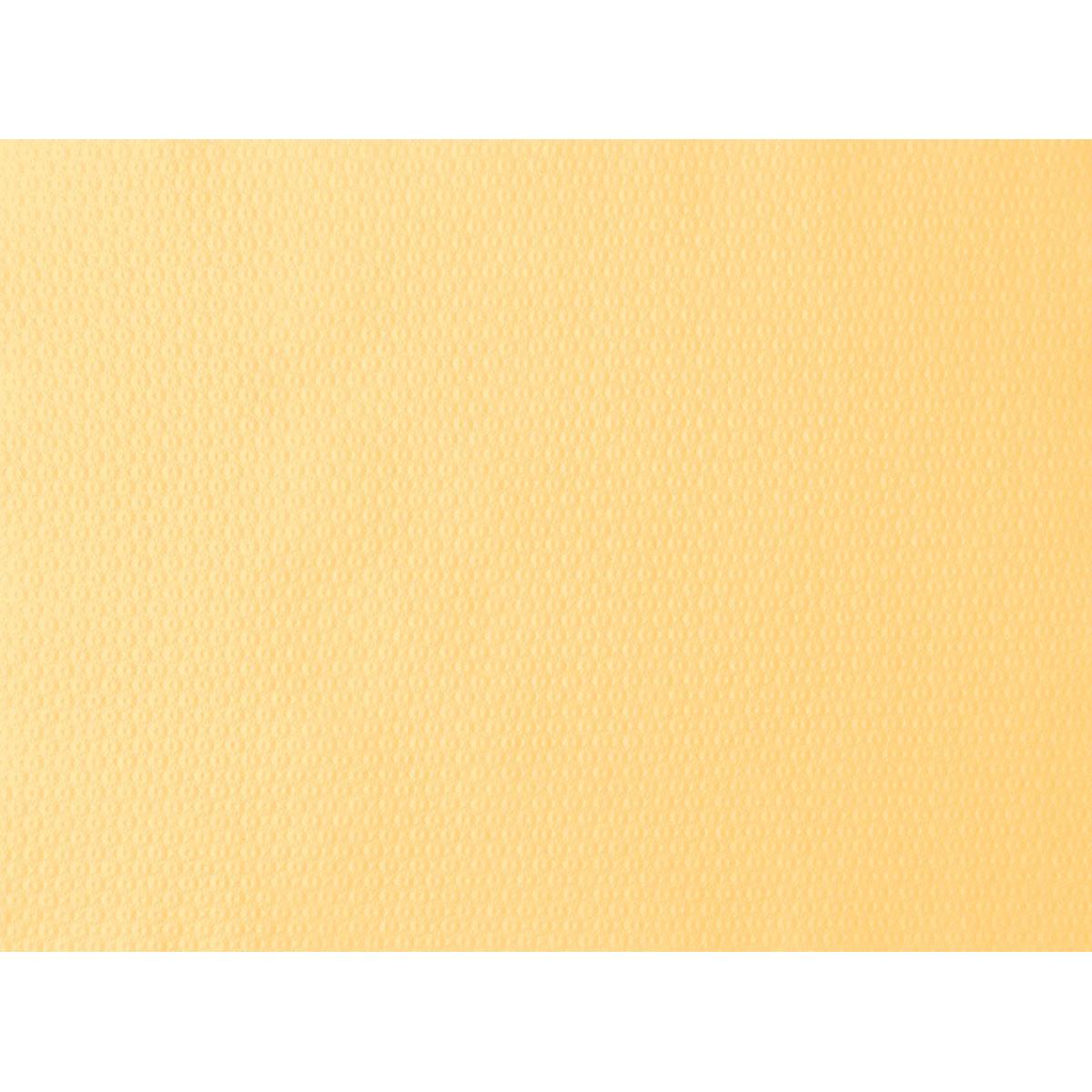 A imagem em close do conjunto de mesa de papel creme 30x40 cm da Duni GmbH mostra uma estrutura de pontos discreta e uniformemente distribuída por toda a superfície - ideal para festas e eventos. Fundo uniforme, adequado para embalagens com 500 unidades.