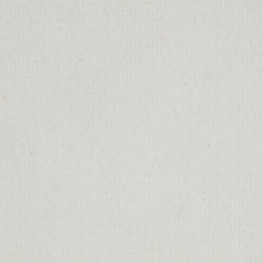 Um close-up de uma superfície de papel branco texturizado vazia com linhas fracas e pequenas manchas - perfeito para Toalhas Scott® ESSENTIAL™ - Rolo / Branco (6 rolos x 1 folha, caixa) da Kimberly-Clark GmbH. A imagem está uniformemente iluminada e livre de marcas ou objetos.