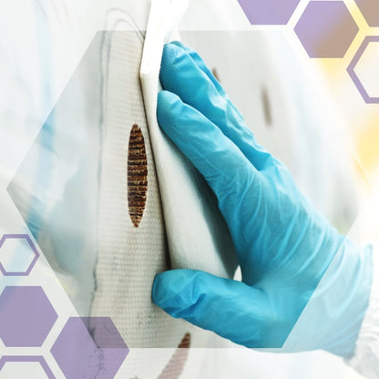 Eine behandschuhte Hand verwendet Kimtech® Science Präzisionstücher von Kimberly-Clark GmbH (Zupfbox/Weiß/Groß, 15x196 Blatt), um einen weißen Gegenstand zu reinigen, der mit braunen Kreisen gefärbt ist. Sechseckige Grafiken überlagern das Bild.