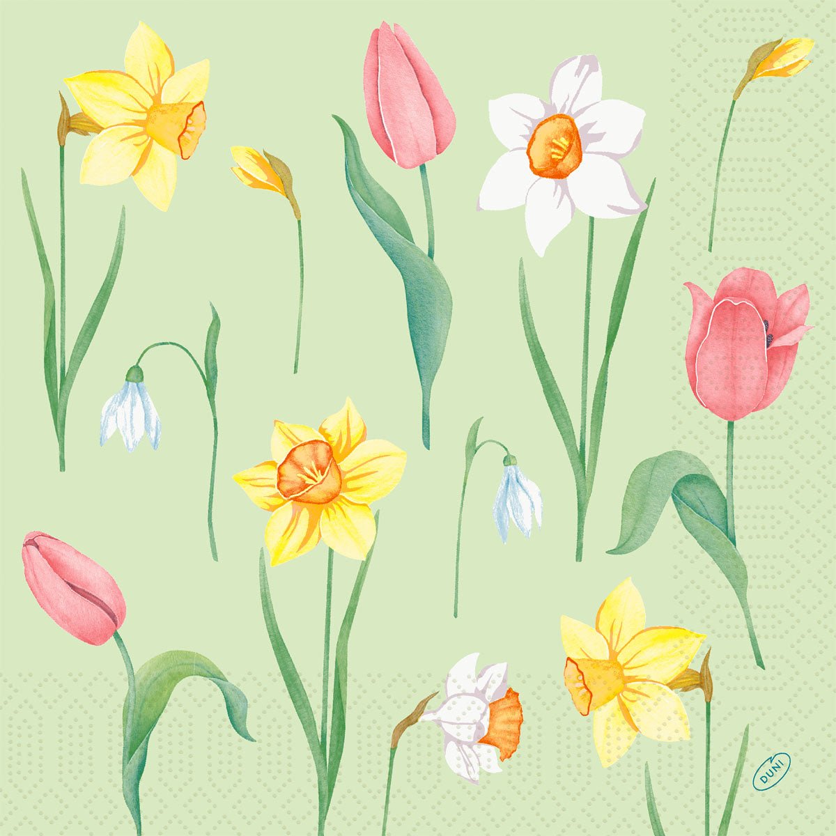 Guardanapos 40x40 cm 3-camadas Spring Melody da Duni GmbH: Ilustração com narcisos amarelos, tulipas rosa, campainhas brancas e um narciso branco sobre fundo verde claro - Embalagem com 250 guardanapos de papel.