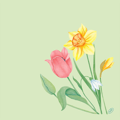 Ilustração de uma tulipa rosa, um narciso amarelo, uma pequena flor branca e um botão amarelo em um fundo verde-claro - ideal para o guardanapo Bio-Dunisoft 40x40cm da Duni GmbH.