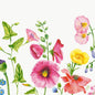 Flores coloridas como malvas-rosa e ranúnculos amarelos com folhas verdes sobre fundo branco - ideal como padrão floral de prado para guardanapos Duni GmbH 40x40 cm 4 camadas Clássico Flowy Meadow Guardanapos de papel (50 peças).