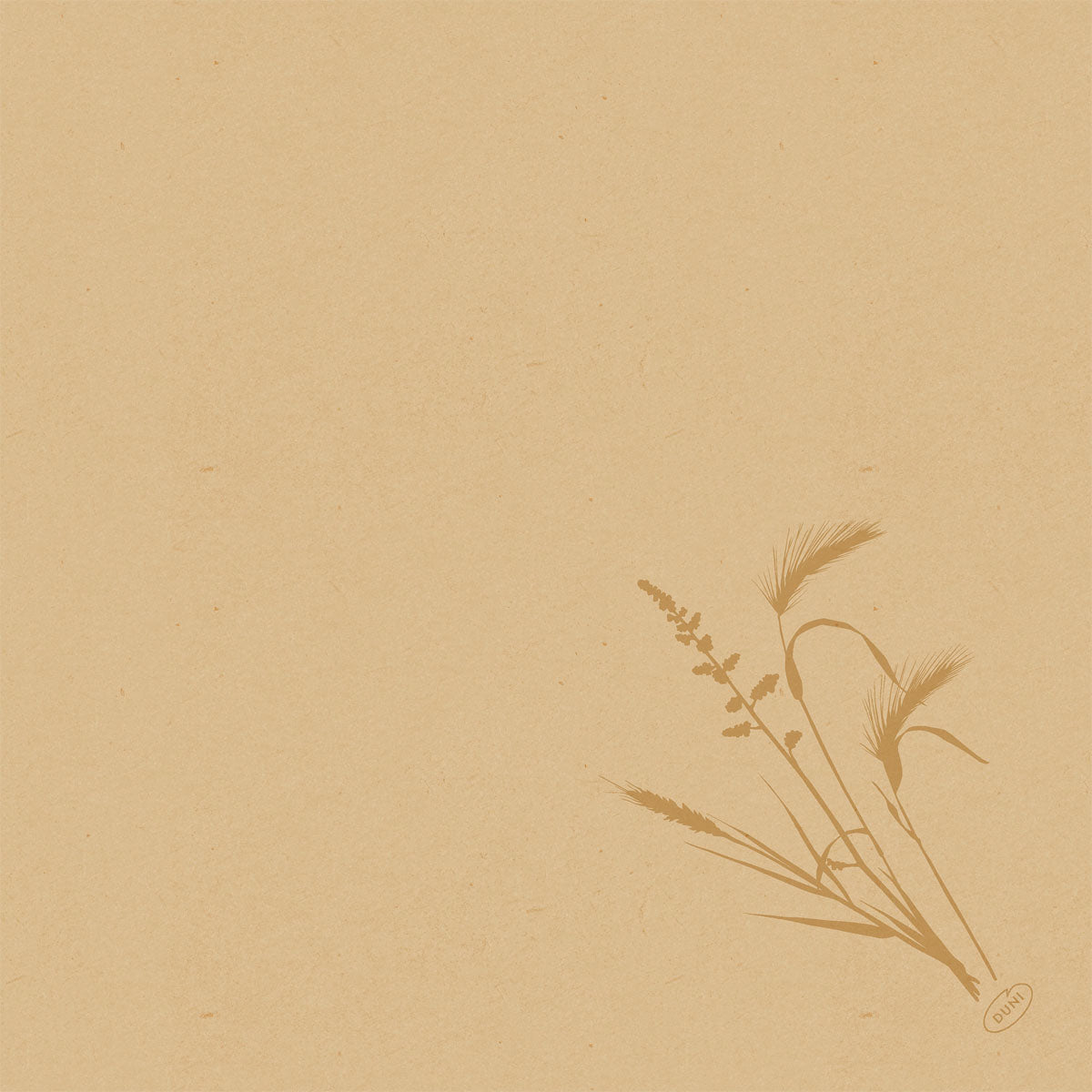 Papel texturizado bege com uma simples ilustração botânica marrom de grama no canto inferior direito. Perfeito para a apresentação do guardanapo Bio-Dunisoft 40x40cm da Duni GmbH. O restante da página está vazio.
