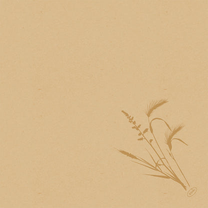 Papel texturizado bege com uma simples ilustração botânica marrom de grama no canto inferior direito. Perfeito para a apresentação do guardanapo Bio-Dunisoft 40x40cm da Duni GmbH. O restante da página está vazio.