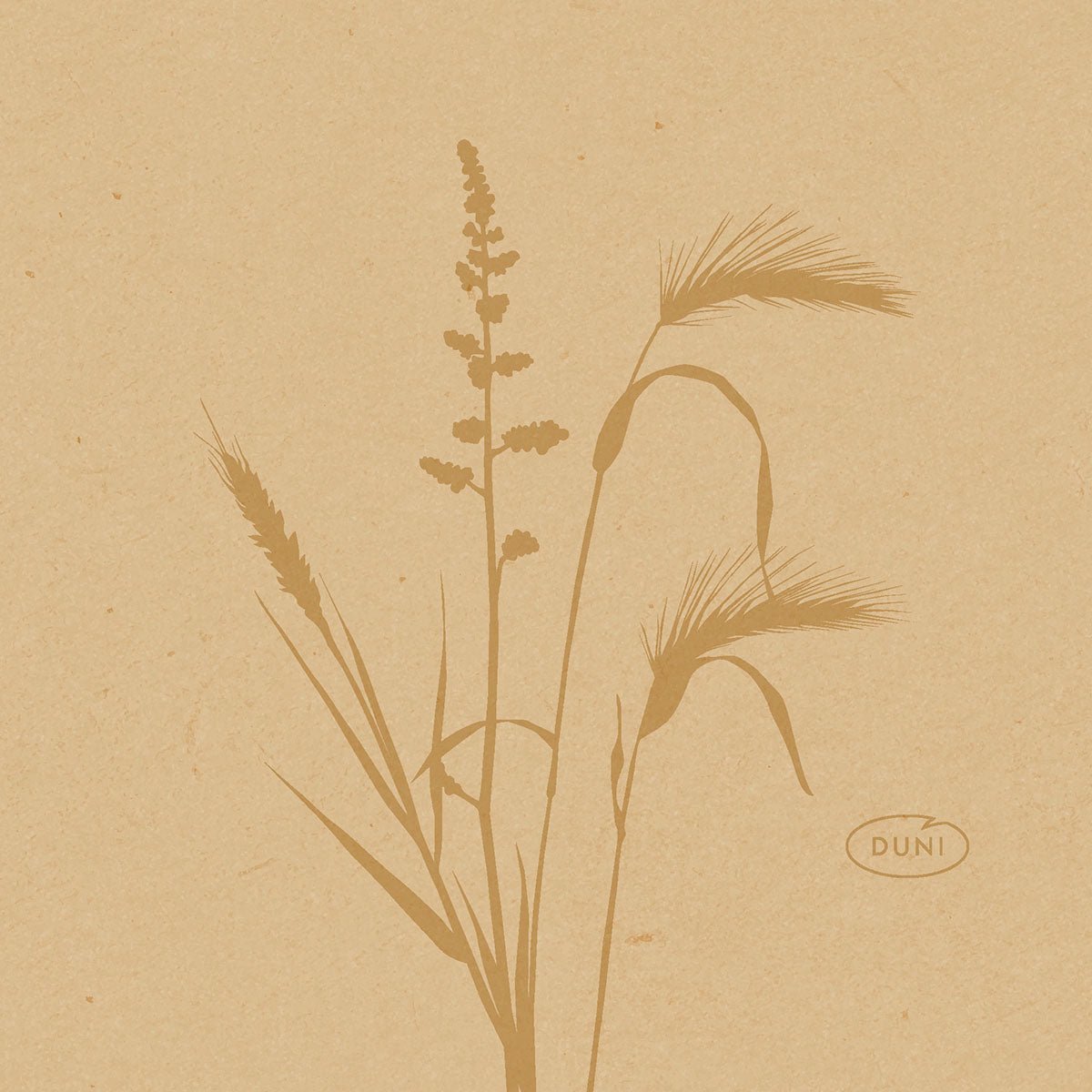 Uma ilustração minimalista de ervas e plantas selvagens em tons de marrom adorna estes guardanapos ecológicos Bio-Dunisoft de 20x20cm da Duni GmbH, com a palavra "DUNI" em um oval no canto inferior direito sobre um fundo castanho texturizado.