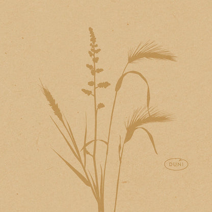 Uma ilustração minimalista de ervas e plantas selvagens em tons de marrom adorna estes guardanapos ecológicos Bio-Dunisoft de 20x20cm da Duni GmbH, com a palavra "DUNI" em um oval no canto inferior direito sobre um fundo castanho texturizado.