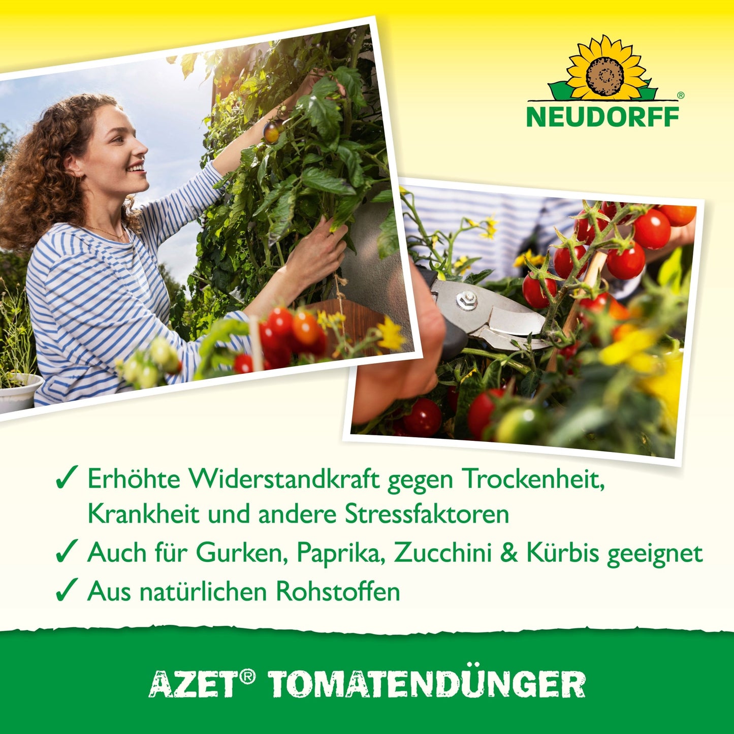 Uma mulher colhe tomates, close das mãos cortando. O texto destaca colheita abundante graças ao Azet TomatenDünger da Neudorff Shop - ideal para fertilizar tomates e adequado para vários vegetais. Logo da Neudorff Shop visível.