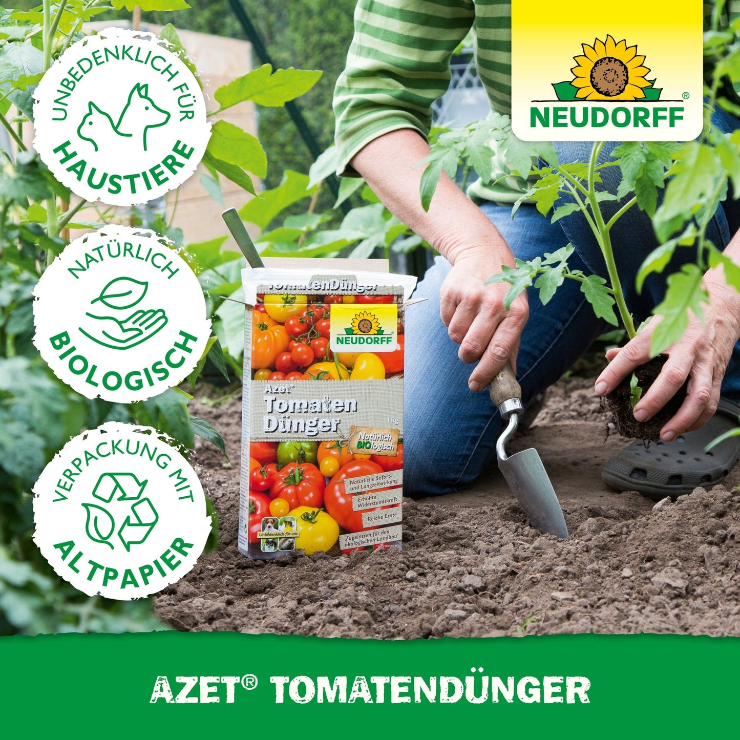 Uma pessoa usa uma colher de jardinagem perto de plantas de tomate e tem uma caixa de Azet TomatenDünger da Neudorff Shop. Ícones ecológicos e amigáveis para animais de estimação destacam este fertilizante orgânico para "uma colheita abundante".