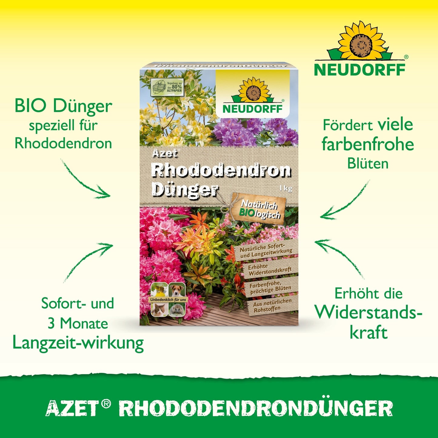 Na imagem está uma caixa de Azet RhododendronDünger da Neudorff Shop com rododendros e azáleas brilhantes na embalagem e a fórmula de adubo orgânico completo para uma floração saudável com efeito imediato e de longa duração.