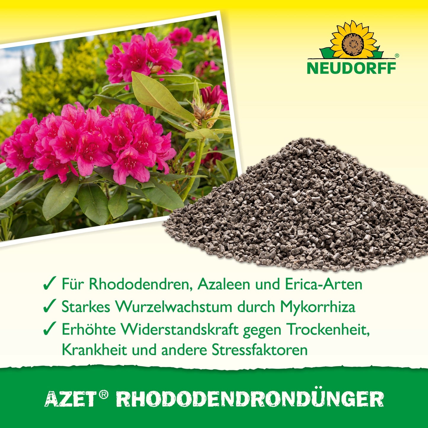 Uma pilha de Azet RhododendronDünger da Neudorff Shop está ao lado de um rododendro rosa em flor. O texto abaixo descreve as vantagens para rododendros, azáleas e ericas. No topo, vê-se o logotipo da Neudorff.