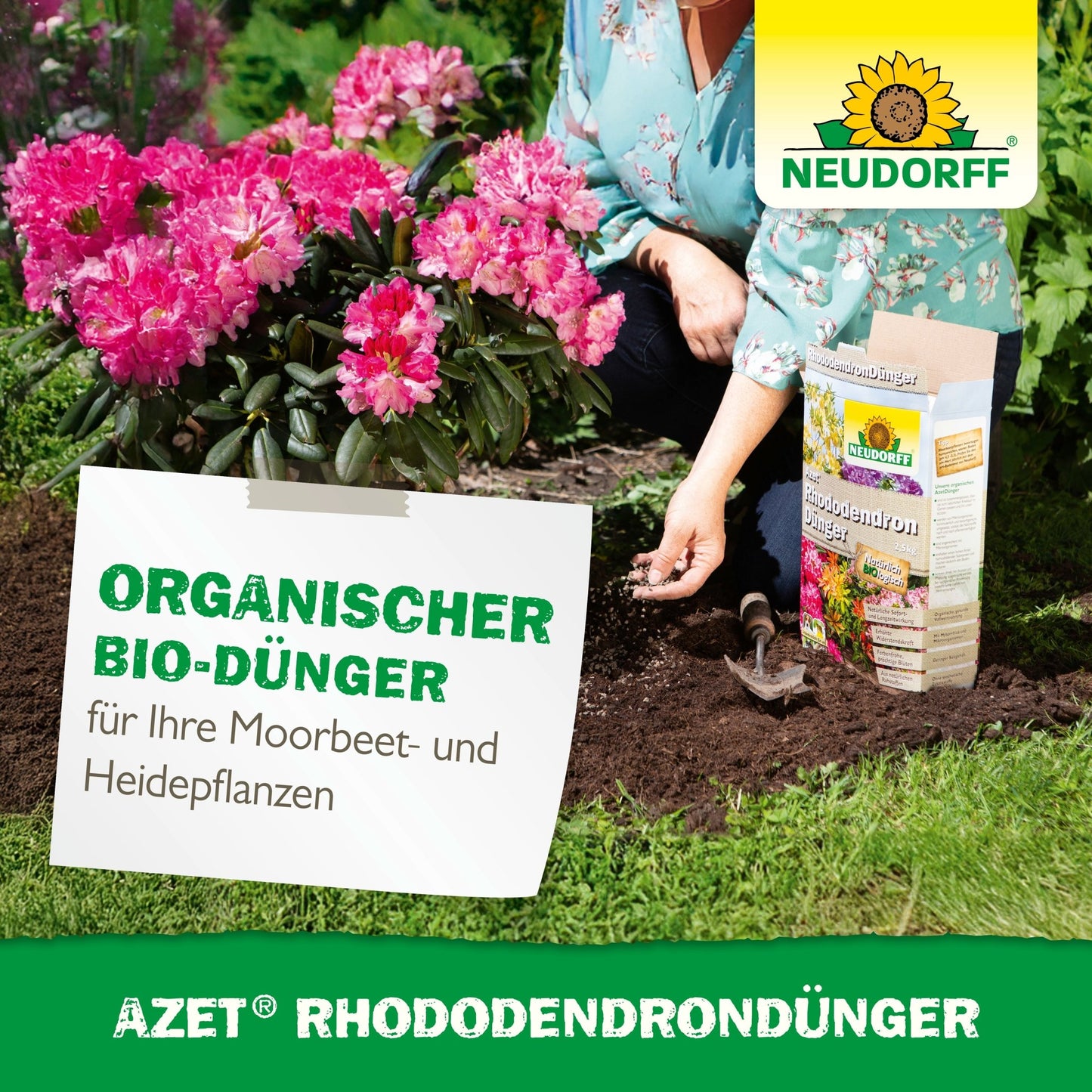 Alguém planta rododendros e azáleas rosas e segura a terra ao lado do Azet RhododendronDünger da Neudorff Shop. Uma placa mostra dados do produto e das plantas no canteiro do jardim.