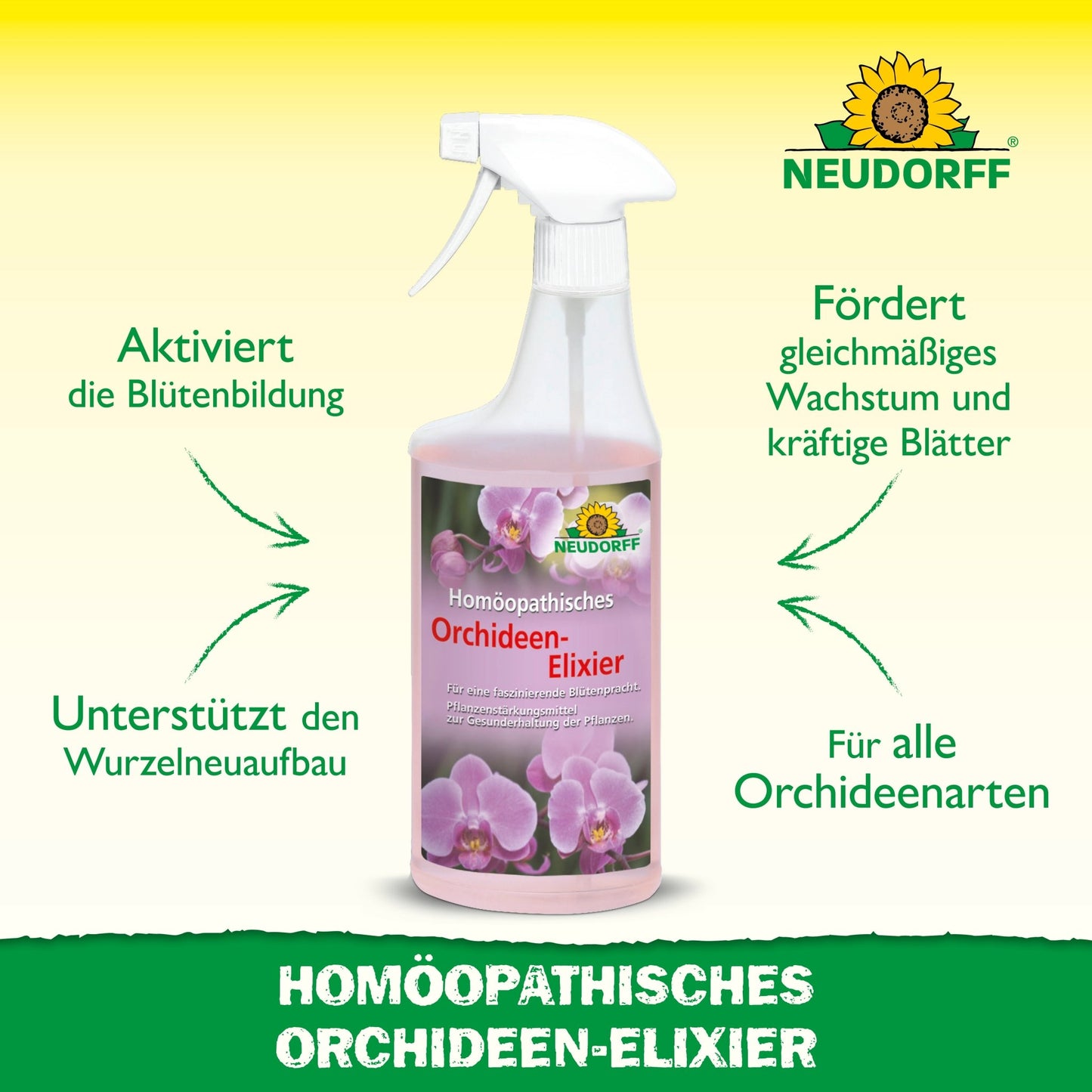 No meio está um frasco de spray com Elixir Homeopático de Orquídeas da loja Neudorff. O texto destaca os benefícios, como a promoção da floração, renovação das raízes e crescimento das folhas para todas as orquídeas. No topo está visível o logotipo da Neudorff.