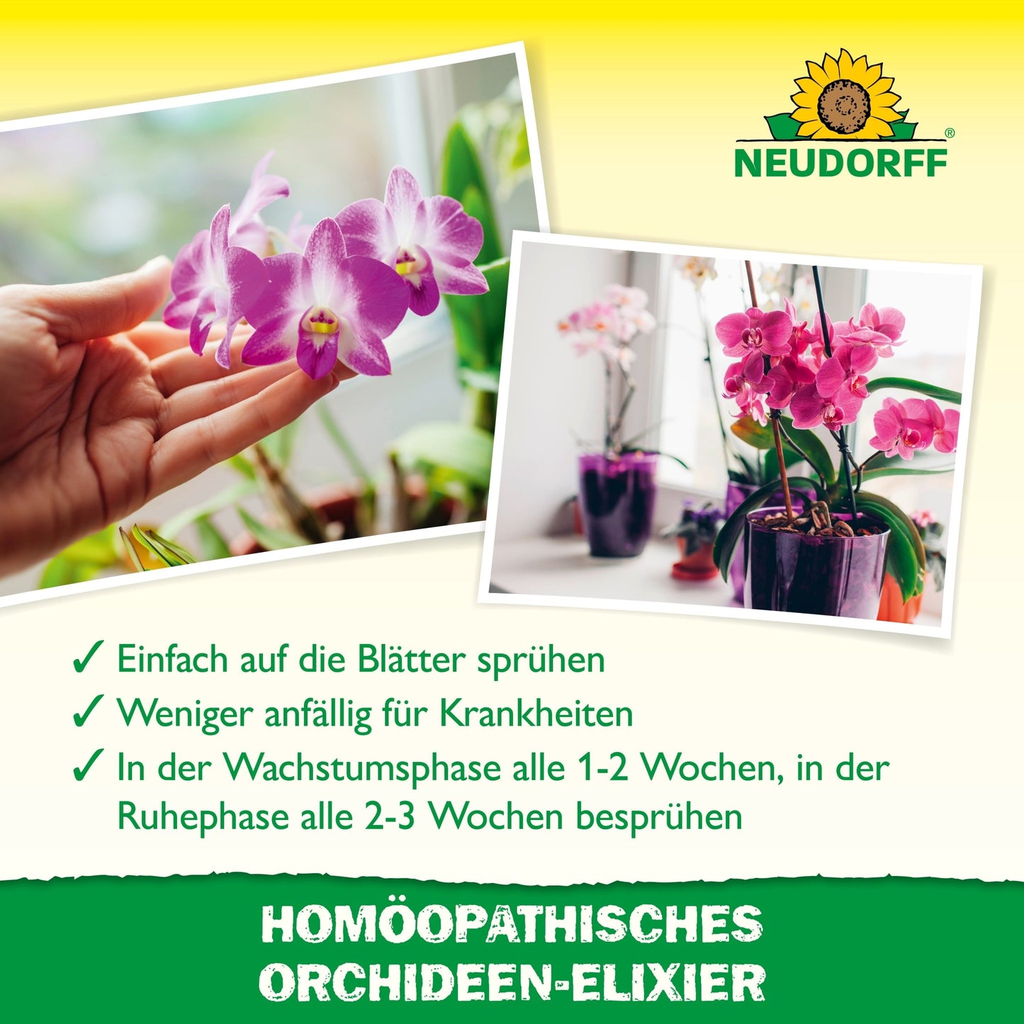 Duas fotos mostram orquídeas em vasos, uma planta é pulverizada com elixir homeopático de orquídeas da loja Neudorff. Ganchos verdes e texto em alemão destacam os benefícios deste cuidado de orquídeas, com a marca visível no topo.