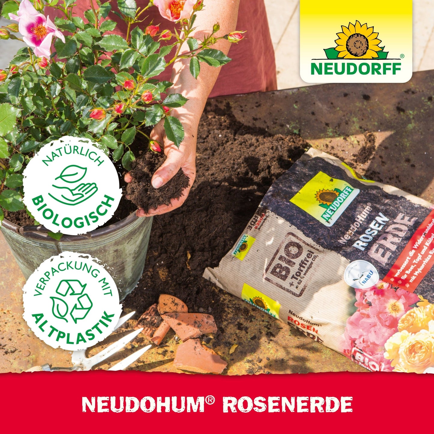 Uma pessoa planta uma roseira em flor com NeudoHum RosenErde da Neudorff Shop; sobre a mesa e no canto superior direito estão o saco de terra, cacos de terracota, dois símbolos de certificação e o logotipo da Neudorff.