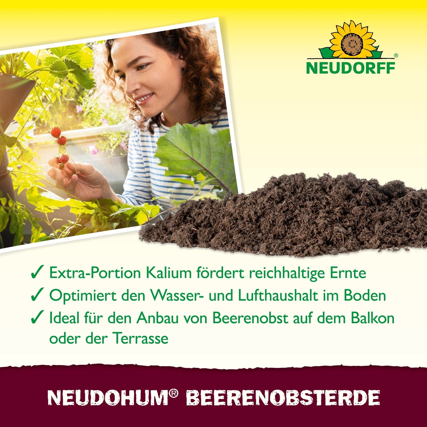 Uma pessoa colhe bagas vermelhas de um vaso na varanda. Em primeiro plano, vê-se um monte de terra. O texto destaca o NeudoHum BeerenobstErde da loja Neudorff, que promove o crescimento de bagas e frutas com potássio e qualidade de solo ideal.