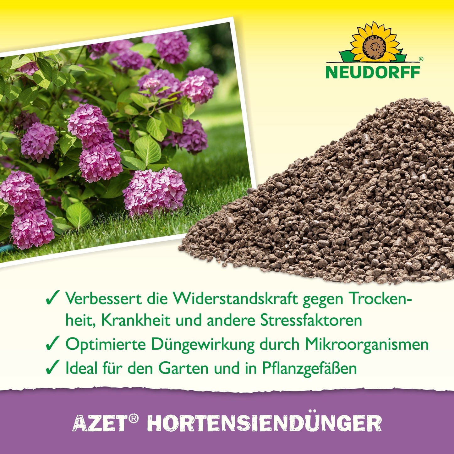 Azet HortensienDünger da loja Neudorff é mostrado como um fertilizante granulado ao lado de hortênsias roxas em flor e destaca a resistência melhorada e fertilização ideal. O texto em alemão indica que é ideal para jardim e bolas de flores. O logotipo da Neudorff está no topo.