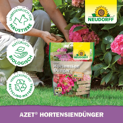 Uma pessoa ajoelhada no jardim com o Azet HortensienDünger da loja Neudorff se prepara para alimentar suas hortênsias para que floresçam magnificamente.