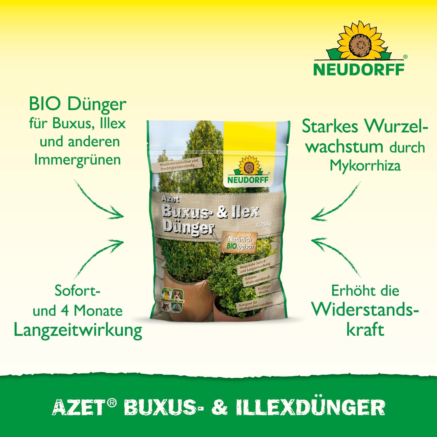 No meio está um saco de Neudorff Shop Azet Buxus- & IlexDünger, que em letras verdes destaca os benefícios duradouros para buxos e azevinhos e seu papel no fortalecimento da resistência das plantas.