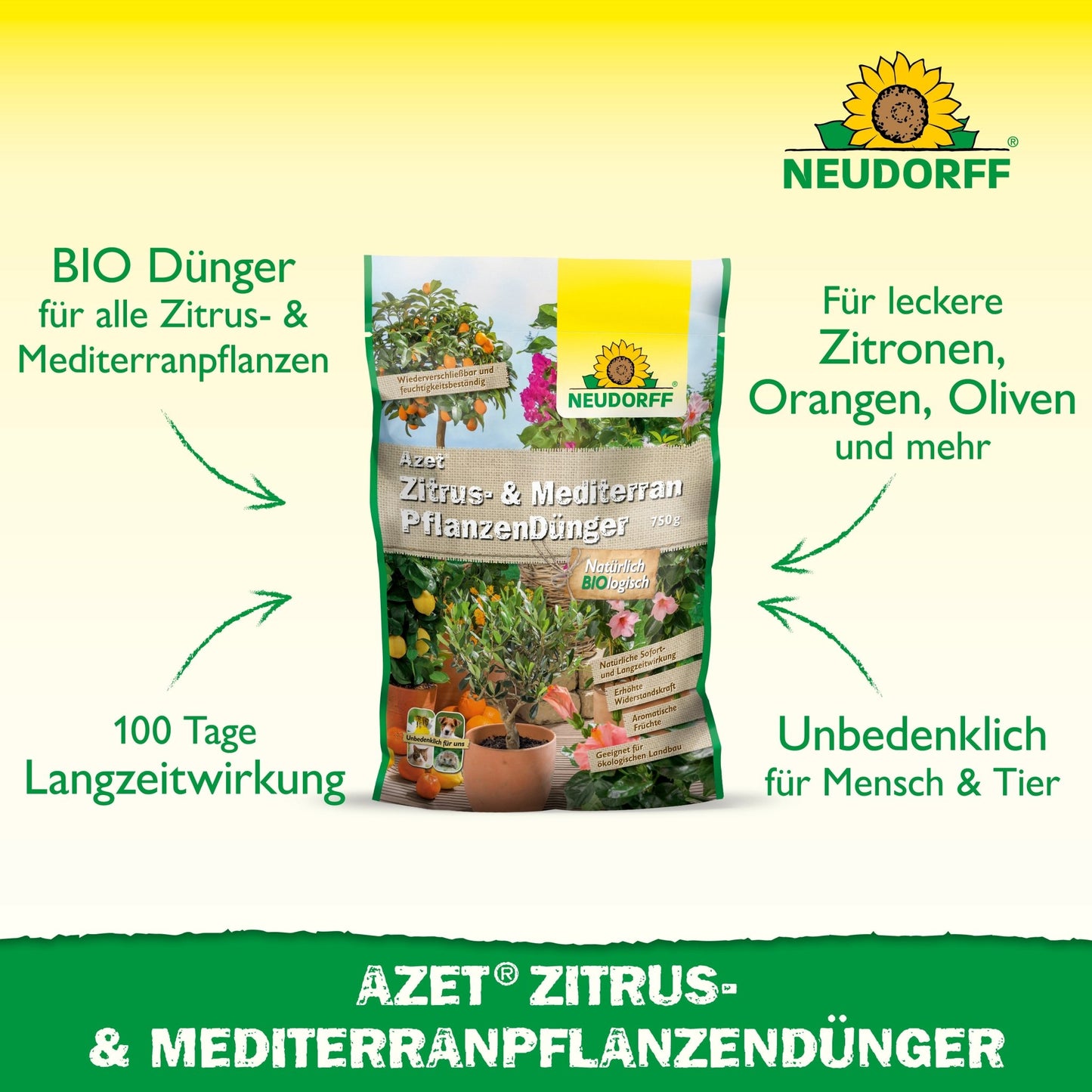 Na imagem está Azet Zitrus- & MediterranpflanzenDünger do Neudorff Shop, um fertilizante completo orgânico para plantas em vaso mediterrâneas como limões, azeitonas, laranjas e oleandro com efeito duradouro.