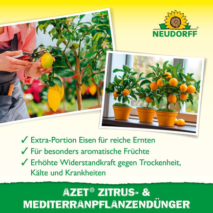 À esquerda, uma pessoa segura um limão amarelo, à direita, uma árvore de laranja carrega frutos maduros. O texto recomenda o Azet Zitrus- & MediterranpflanzenDünger do Neudorff Shop para plantas cítricas e em vaso mediterrâneas.