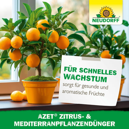 Duas árvores de laranja em vaso com frutos maduros estão em um parapeito de janela. Uma placa em alemão anuncia "crescimento rápido" e "frutos aromáticos" para plantas em vaso mediterrâneas com o Azet Zitrus- & MediterranpflanzenDünger do Neudorff Shop.