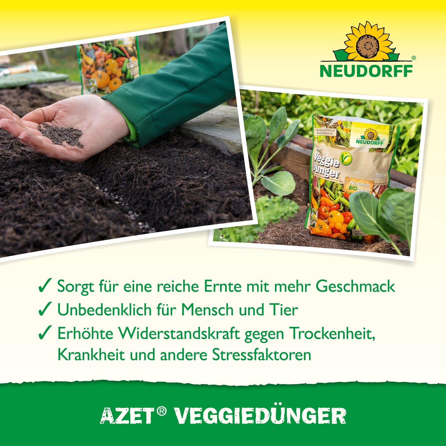 Eine Hand streut organischen Dünger auf Gartenerde. Daneben steht eine Packung Azet VeggieDünger von Neudorff Shop. Drei grüne Häkchen zeigen die Vorteile des Produkts auf Deutsch. Im Hintergrund wachsen Gemüsesetzlinge.