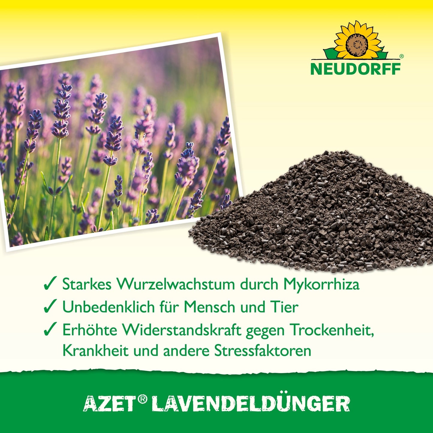 Azet LavendelDünger do Neudorff Shop está em forma de granulado ao lado de lavanda com flores azul-violeta. O texto em alemão destaca as vantagens, no canto superior direito está o logotipo do girassol da Neudorff.