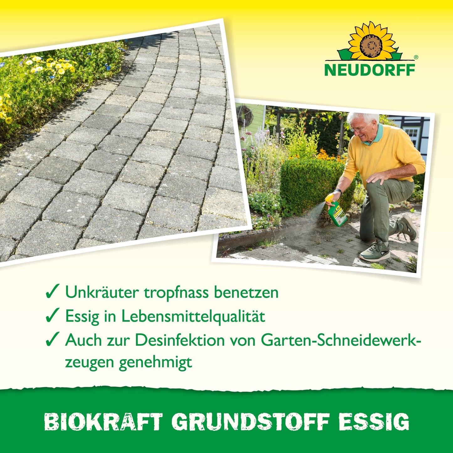 Um homem usa Neudorff BioKraft Grundstoff Essig da loja Neudorff para combater ervas daninhas entre as pedras do terraço, mostrando assim a remoção eficaz e natural de ervas daninhas com vinagre alimentar para um terraço livre de ervas daninhas.
