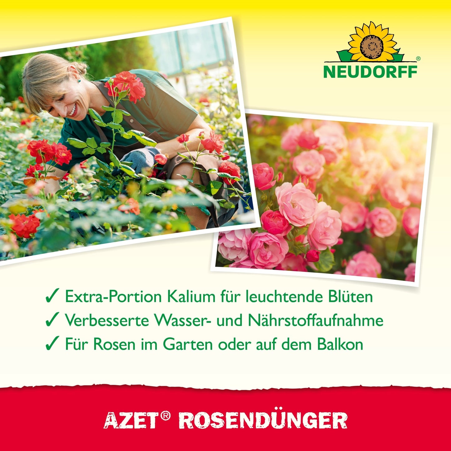 Uma mulher sorri entre rosas em flor num jardim e fertiliza com Azet RosenDünger líquido da loja Neudorff. Ao lado dela aparece uma imagem em close-up de rosas cor-de-rosa, enquanto o texto abaixo descreve os benefícios para um crescimento saudável e vibrante das rosas.