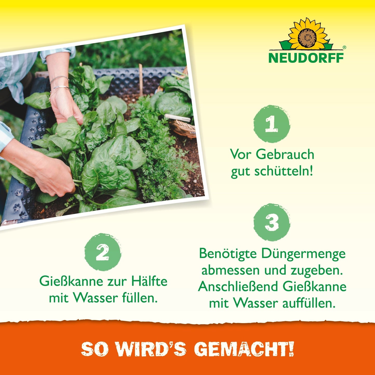 Uma pessoa aplica Azet HochbeetDünger líquido do Neudorff Shop em plantas de folhas verdes em um canteiro elevado com um regador. Estão ilustrados os passos de preparação para a solução nutritiva e o logotipo da Neudorff, incluindo instruções em alemão.