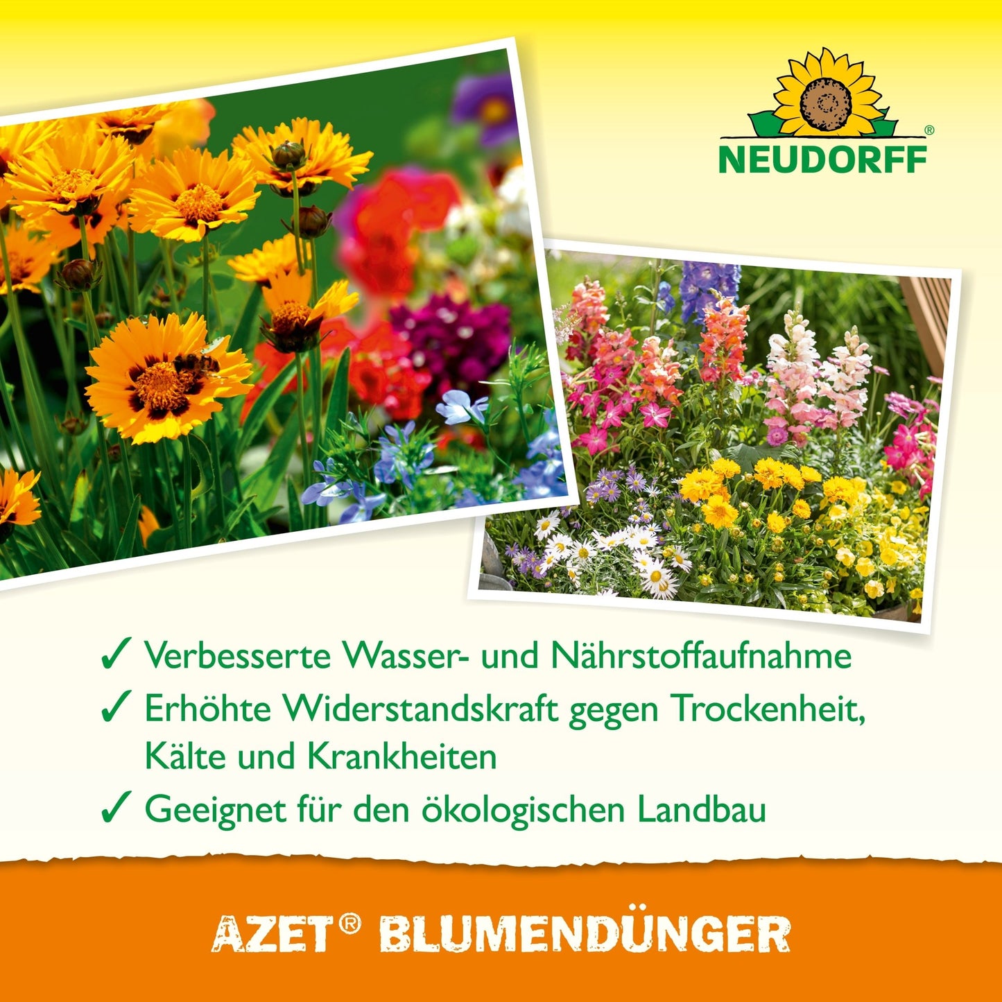 Uma imagem publicitária para Azet BlumenDünger líquido da Neudorff Shop mostra flores coloridas e lista vantagens como crescimento mais saudável das plantas e adequação para cultivo orgânico em alemão.