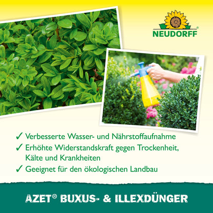 Uma pessoa pulveriza uma garrafa amarela de Azet Buxus- & IlexDünger líquido da Neudorff Shop em um arbusto redondo e verde - ideal para plantas perenes em vasos. Acima, há uma imagem em close das folhas verdes, com texto em alemão destacando os benefícios do produto.