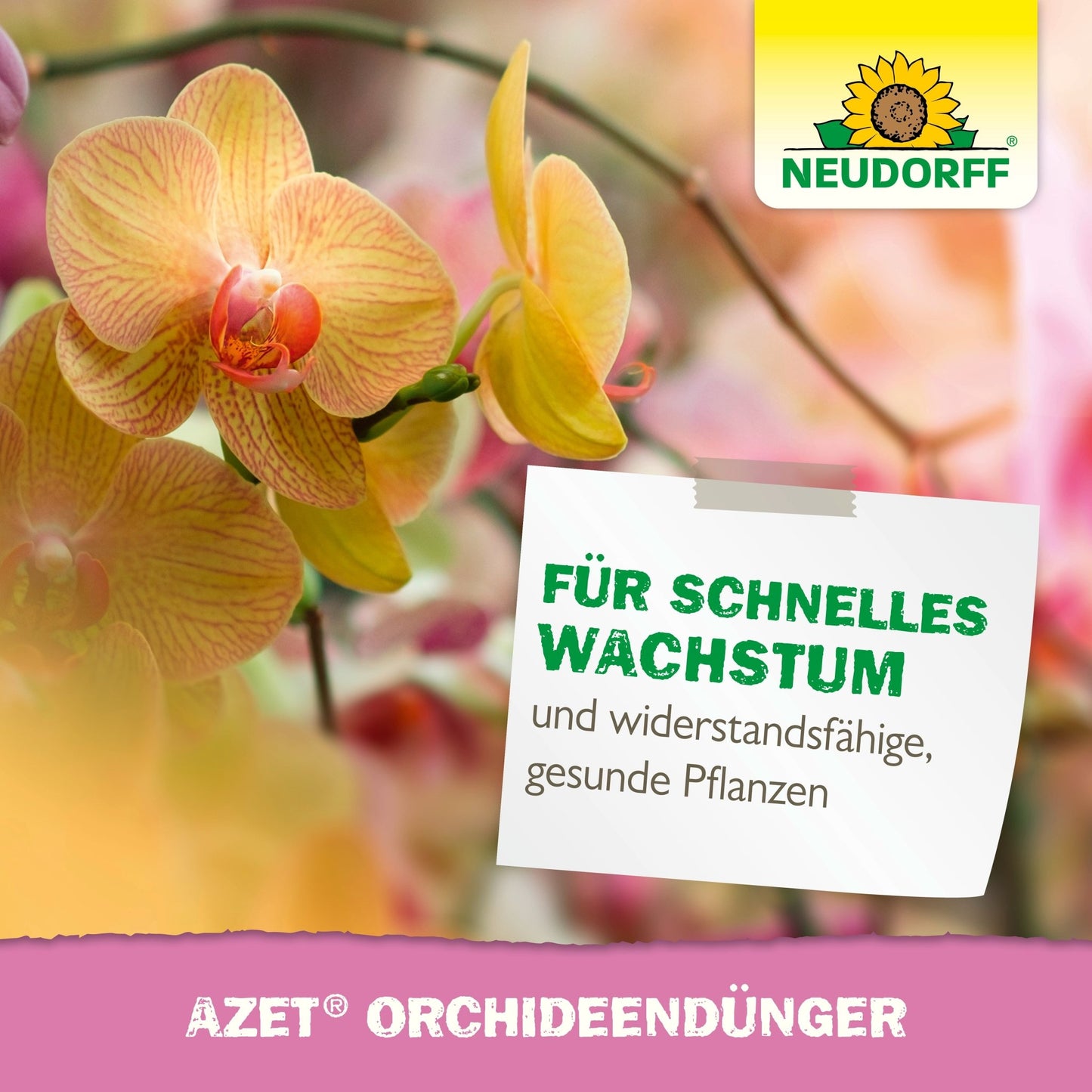 Uma foto de close de orquídeas amarelas e rosas com o logotipo da Neudorff Shop. O texto em alemão promove "Azet OrchideenDünger líquido" para flores deslumbrantes, crescimento rápido e plantas fortes e saudáveis.