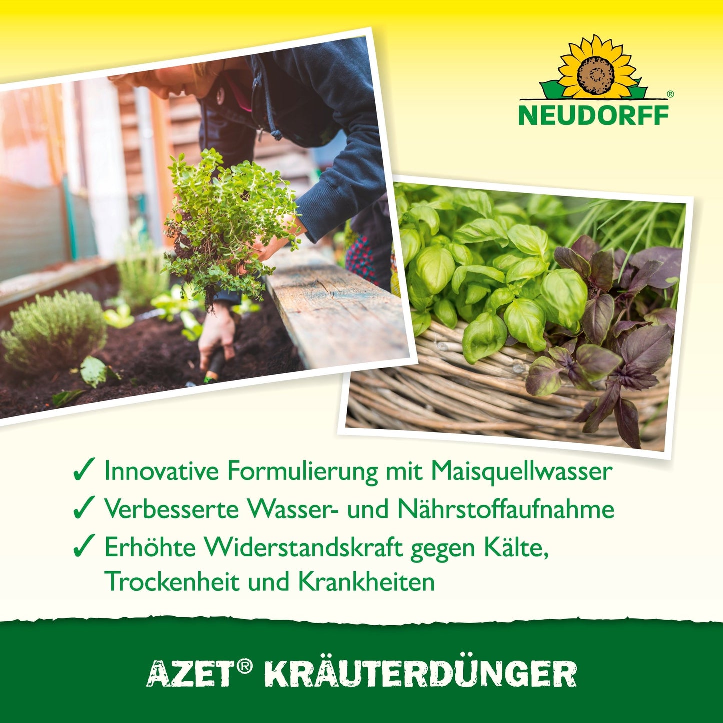 Quem cuida de ervas em vaso e plantas de folhagem utiliza o Neudorff Shop Azet Fertilizante Líquido para Ervas para promover a saúde das plantas, melhorar a absorção de água e nutrientes e aumentar a resistência ao stress e doenças.