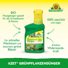 Uma garrafa verde da Neudorff Shop Azet GrünpflanzenDünger líquido com uma tampa amarela, onde um texto em alemão fala sobre os nutrientes orgânicos para plantas de interior, que promovem crescimento rápido, folhas verdejantes e maior resistência.