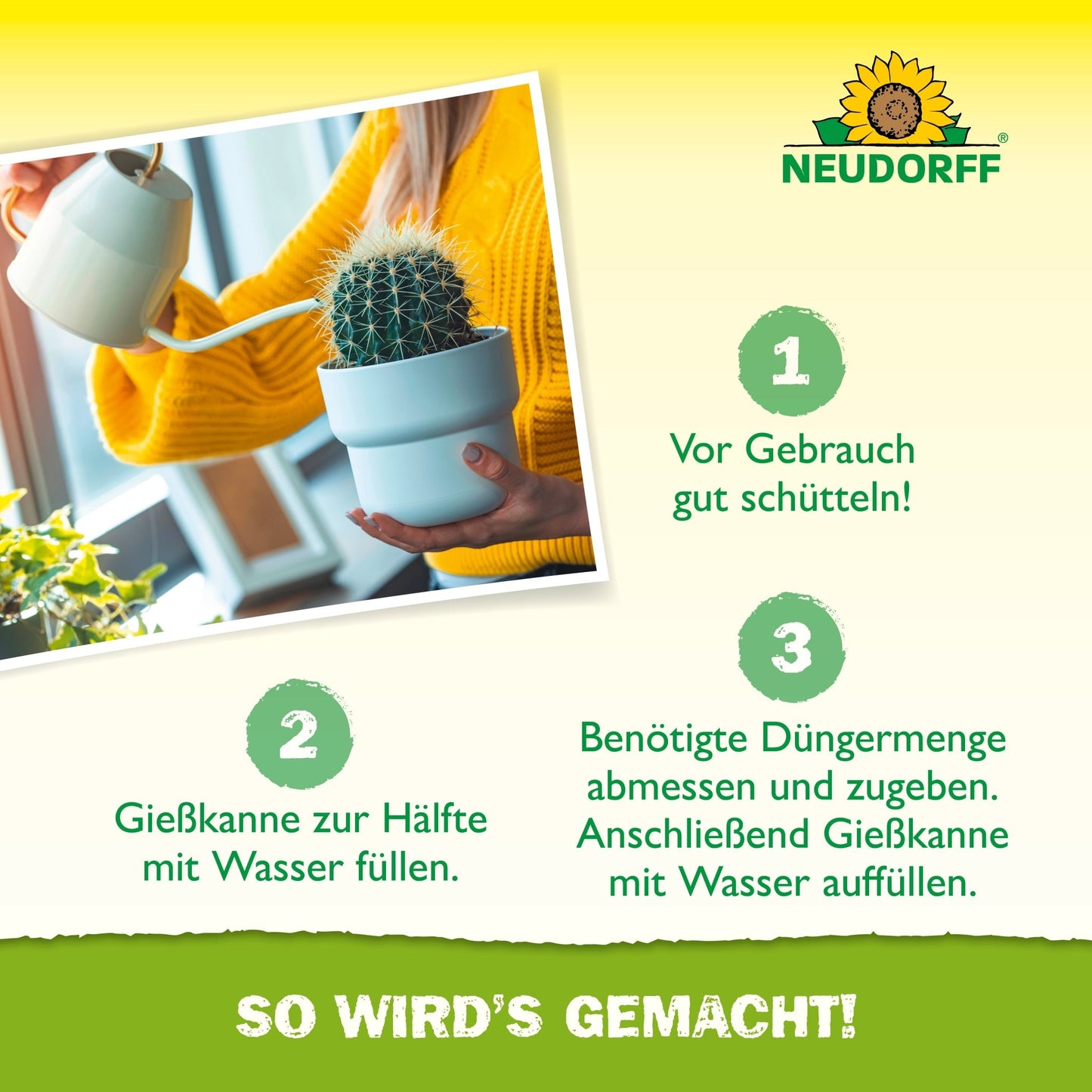 Uma pessoa com um pulôver amarelo rega água e Azet Kakteen- & SukkulentenDünger líquido da Neudorff Shop em um vaso com um pequeno cacto, seguindo as instruções em alemão para fertilizar cactos e suculentas.