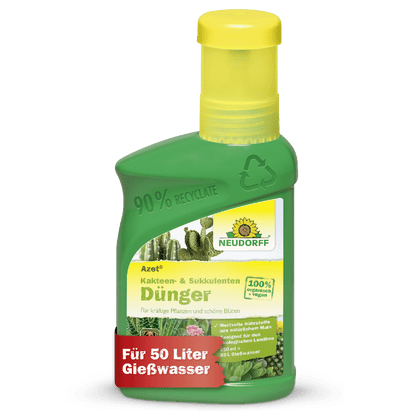 Uma garrafa de plástico verde da Neudorff Shop Azet Kakteen- & SukkulentenDünger líquido mostra imagens de cactos, informações do produto em alemão e uma faixa vermelha com "Para 50 litros de água de rega" no rótulo.