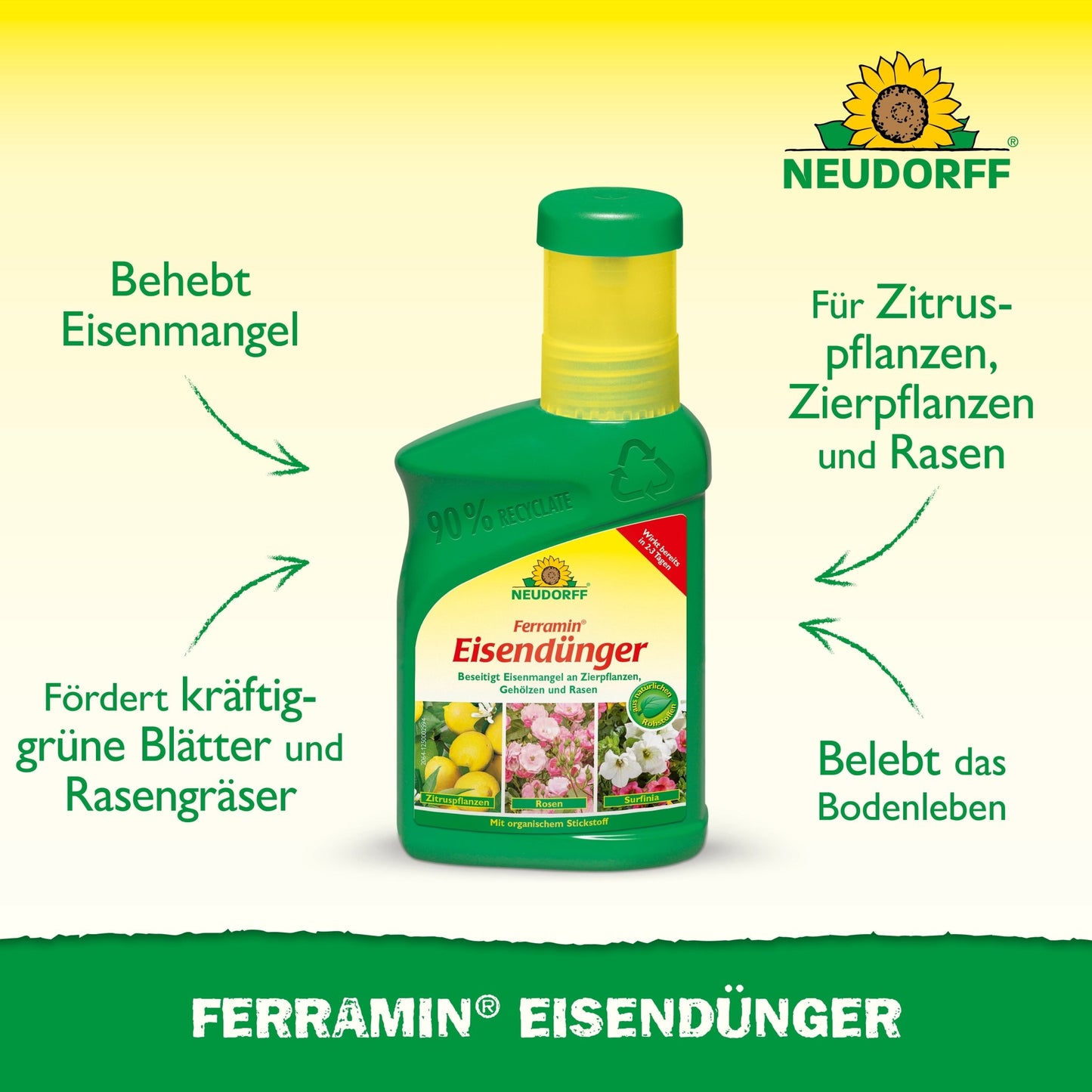 Uma garrafa verde Neudorff Shop Ferramin Fertilizante de Ferro está de pé, com um texto que destaca os benefícios: correção da deficiência de ferro e nitrogênio, promoção de relva e folhas exuberantes e revitalização do solo para várias plantas.