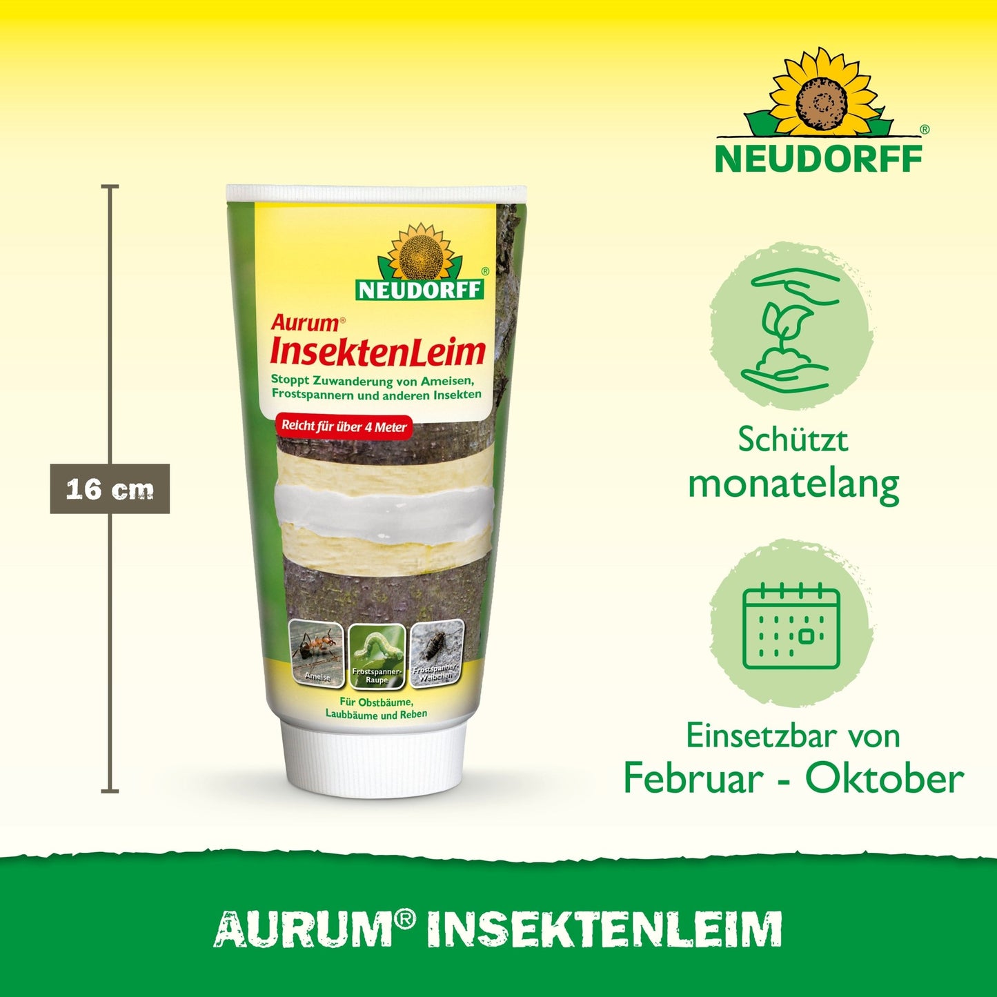 É ilustrado um tubo de 16 cm de Neudorff Shop Aurum InsektenLeim. A embalagem destaca a proteção duradoura de árvores frutíferas contra pragas como a lagarta e formigas, que pode ser aplicada de fevereiro a outubro, enquanto símbolos verdes indicam a eficácia.