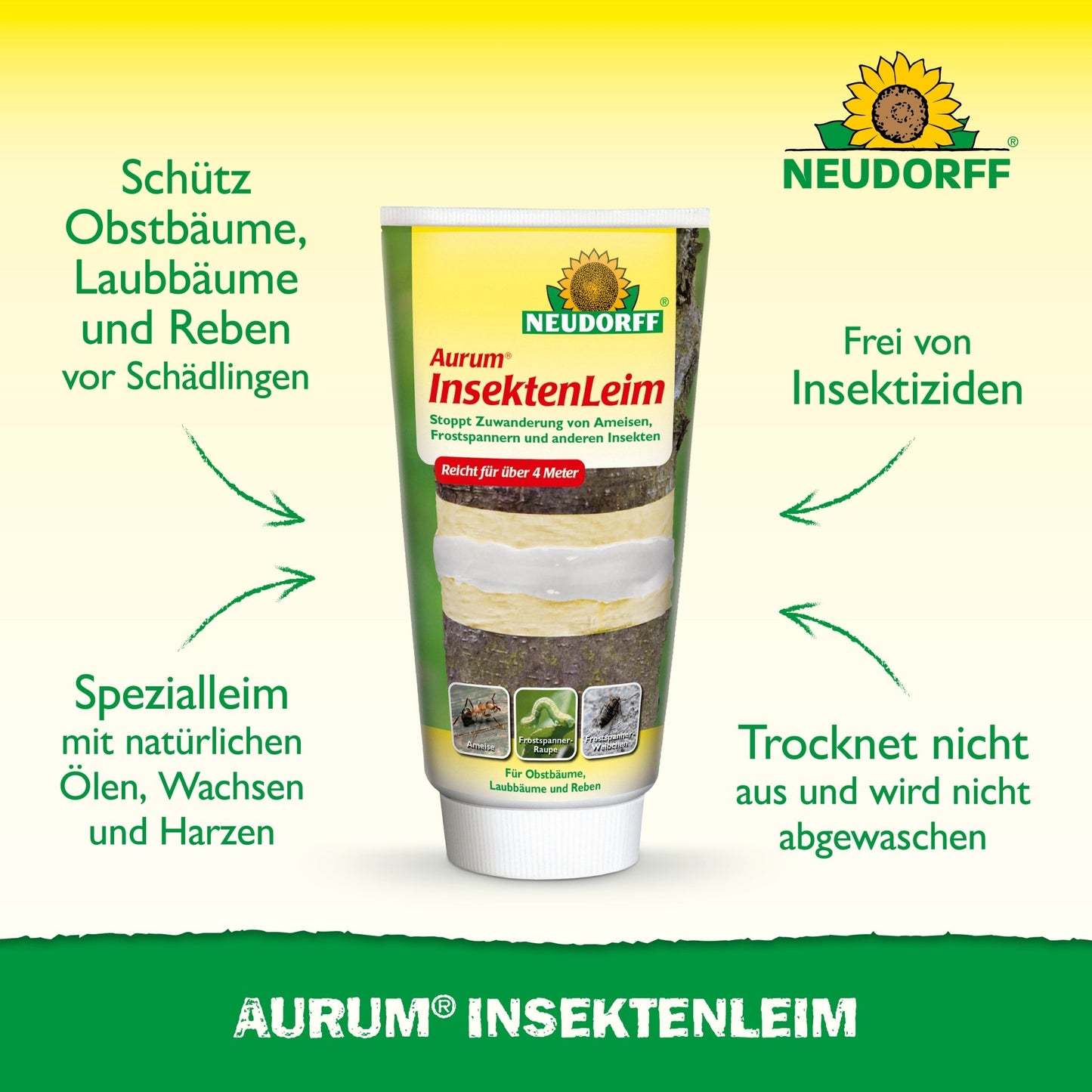 Um tubo de Aurum InsektenLeim da Neudorff Shop está em pé e traz um texto em alemão sobre a proteção de árvores frutíferas contra formigas e fêmeas de traça de inverno. No fundo verde-amarelo, o logotipo da Neudorff é visível na parte superior.