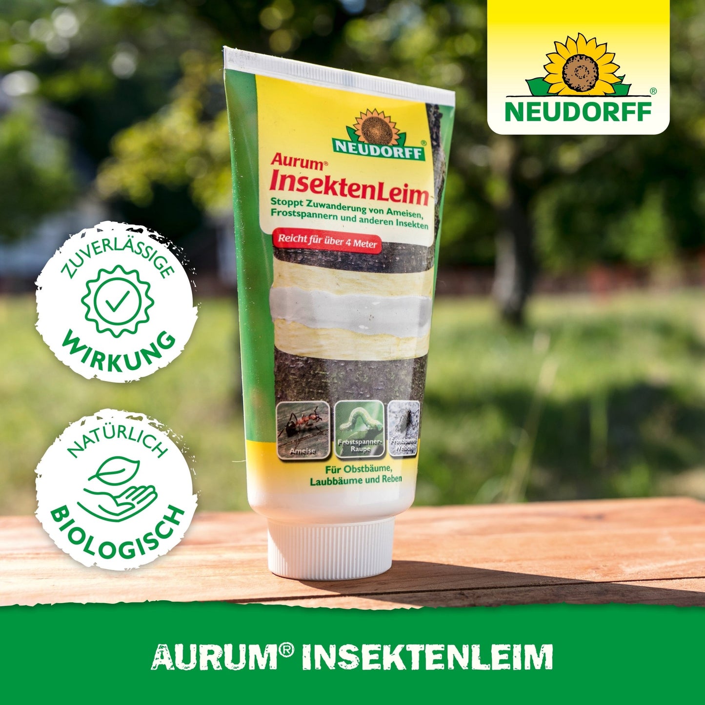 Um tubo de Neudorff Shop Aurum InsektenLeim está sobre uma mesa ao ar livre. A embalagem destaca a eficácia confiável contra formigas e traças de inverno e protege árvores frutíferas com ingredientes naturais e biológicos.