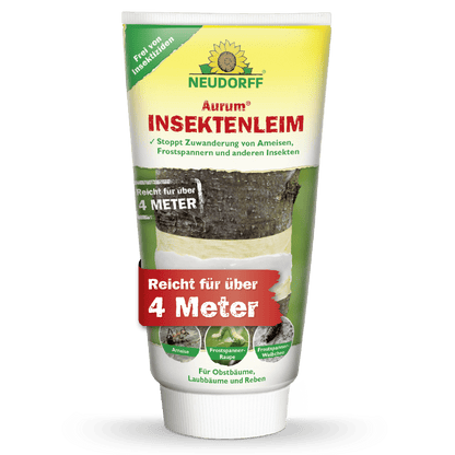 Aurum InsektenLeim da Neudorff Shop protege árvores frutíferas de forma eficaz contra formigas e pragas - sem inseticidas, atua em mais de 4 metros. A embalagem mostra uma árvore envolvida com cola.