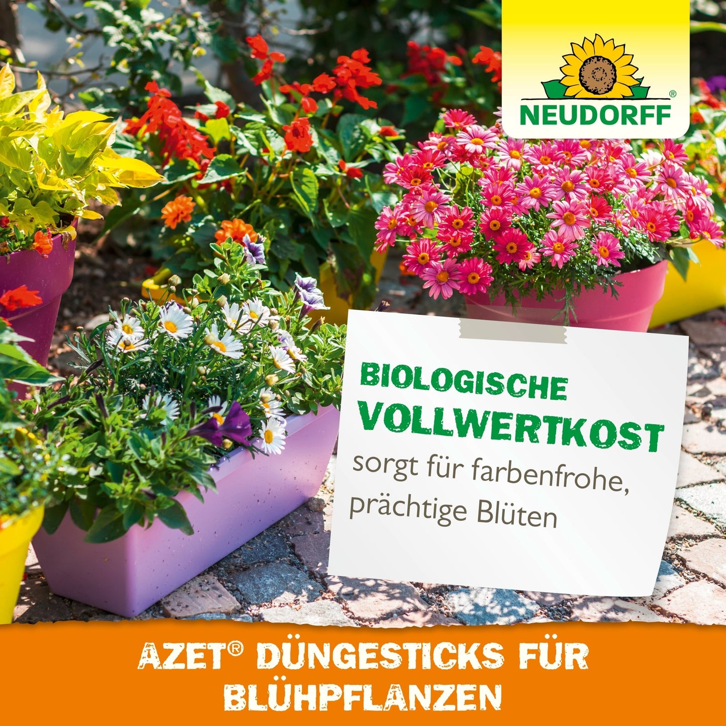 Plantas floridas e verdes em recipientes retangulares estão ao ar livre. Um cartaz promove o Neudorff Shop Azet Düngesticks para plantas com flores como "alimento completo biológico" para flores vivas e exuberantes.