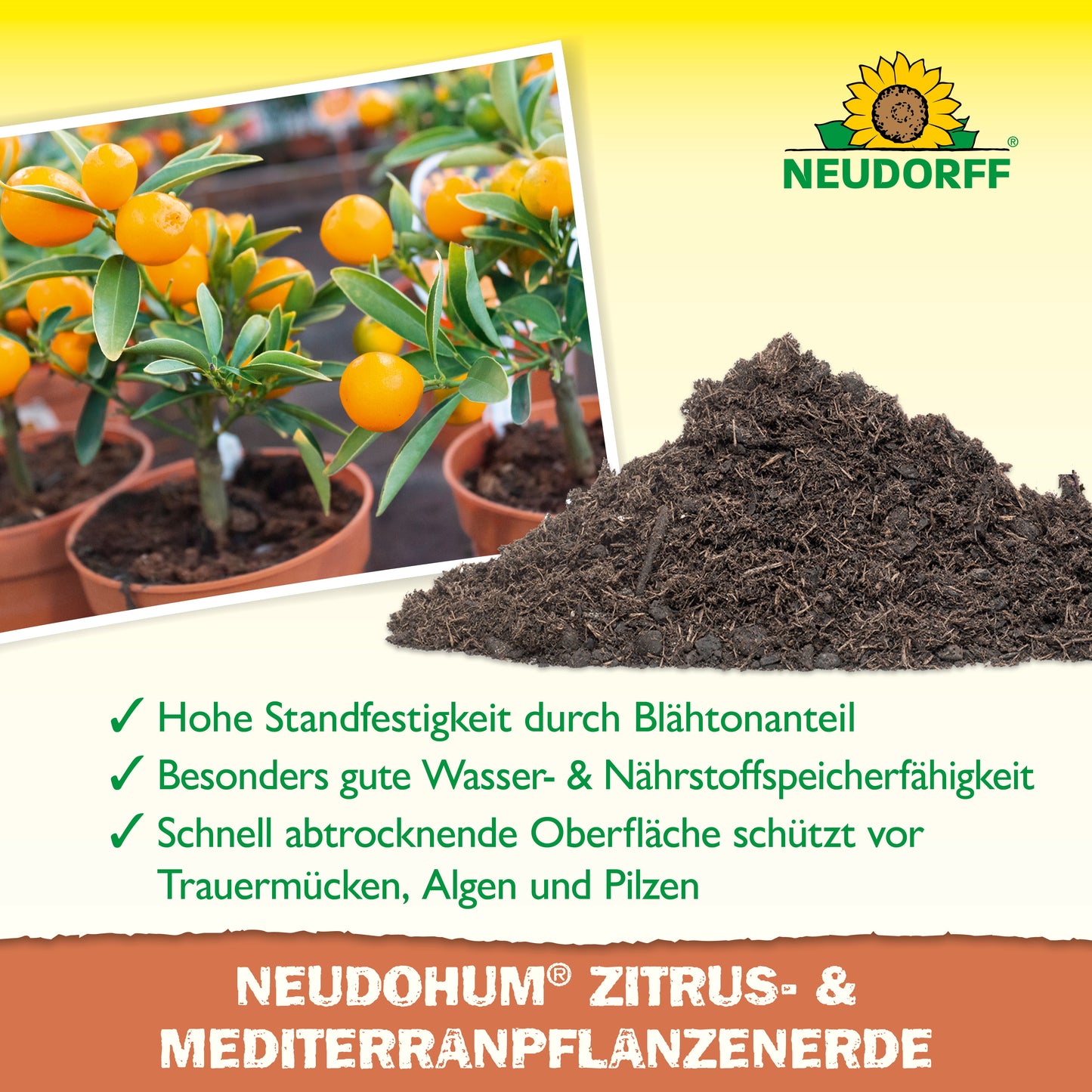 NeudoHum Solo de plantas cítricas e mediterrâneas
